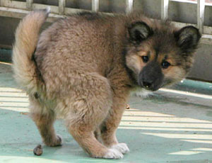 ���Ȃ���