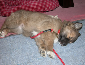 �Q��Ǝ�������