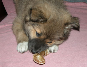 ��������炤