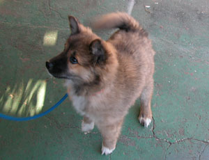 �����U���ɍs������