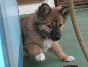 �������_��