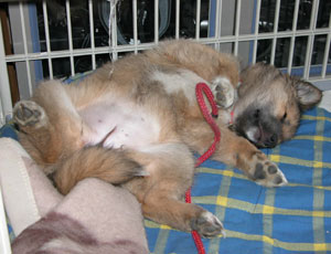 �������Q��