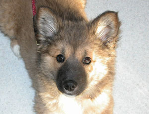 �������ʐ^