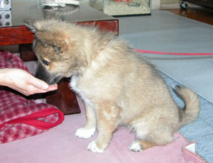 ������������Ƃ�����o��