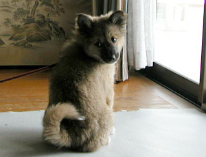 �E���`�����ɍs�������E�E�E