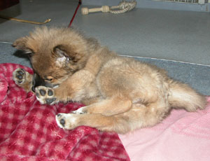 �Ђ���������