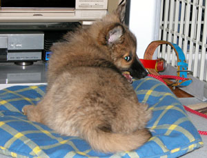 �����Ă��܂���