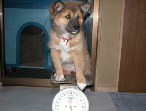 �͂ݏo����