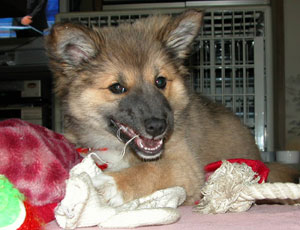 �����^�k�L�Ƃ͌��킹�Ȃ�