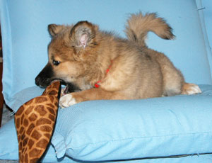 �X���b�p��������