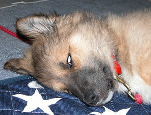 ���ڂ��o���ĐQ��