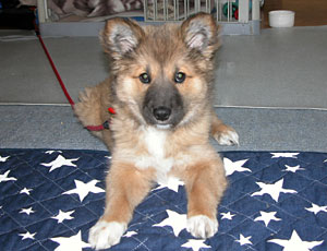 �܂��O��������