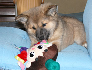 ��������������