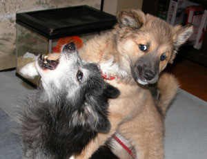 ���A�܂������͋C�H