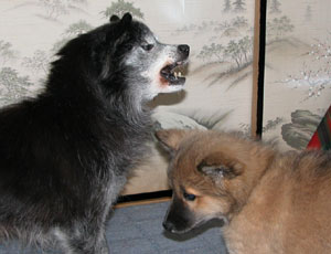 �܂�����ꂽ