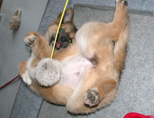 ����炳��ăN�l��