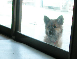 �ʐ^�B���ĂȂ��ł����ɓ����