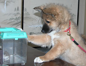 �}�������A�V��