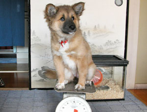 �܂�����Ă��܂���