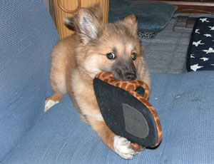 ���̓X���b�p����D��