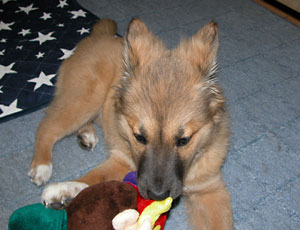 �ꐶ�����ȂƂ��͎������ɍs��