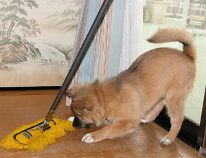 ���b�v�����ċ����Ȃ�