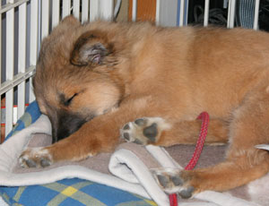 �����͂܂��v�j����