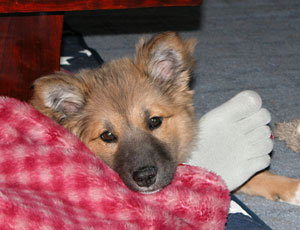 ���̉Ƃł͎w�t���C�������s���Ă���