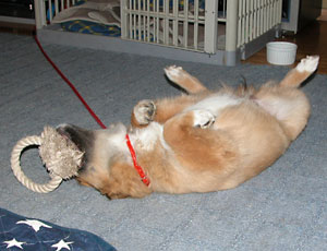 ���݂�����ŗV��