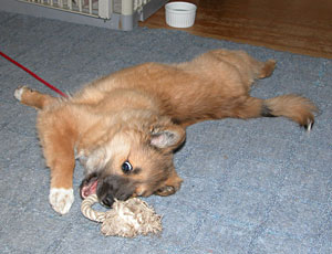 �����ʑ���ɂ�������͂��Ȃ�