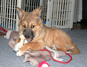 �ѕz���؂̂���������D��