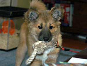 ����̖��A������