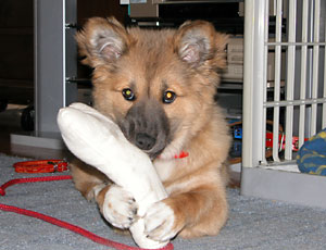 �@��ᰂ�����Ă��܂�