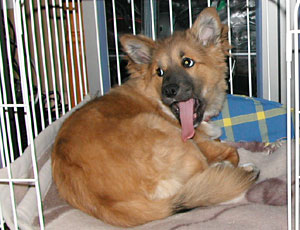 �����т��o��Ǝ����ɋA��