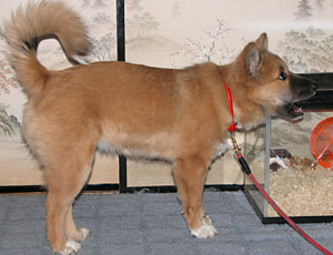 �}������񂿂���