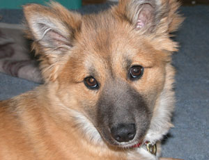 �@���L�т�