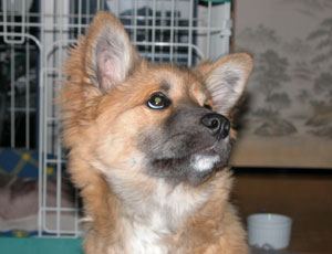 ������ɂ͕������Ȃ���������