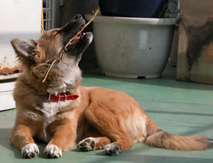 ������������