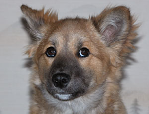 ���x����Ă�����Ȃ�