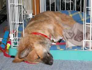 �v������Q��