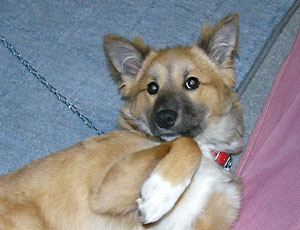 �܂��Ȃł���ƂЂ�����Ԃ�