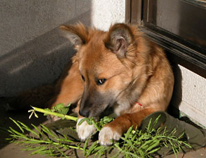 ��΂��A�����Ă�