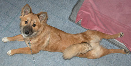 �̂͏_�炩��