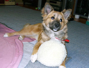 �V������������