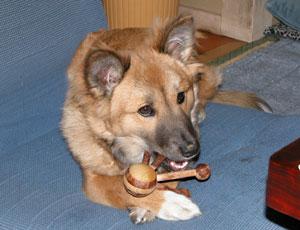 �𗧂����̃c�{�����Ȃ̂Ś����Ă����炵��