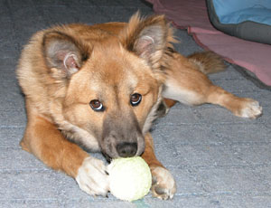 �w�`�}�{�[����������