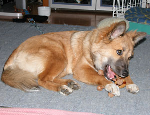 �c�{�����͂܂����C�ɓ���