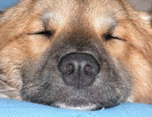 �P���Ŗ鋃�������̂Ŗ���