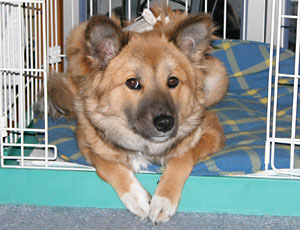 ���ƂȂ������ɂȂ���