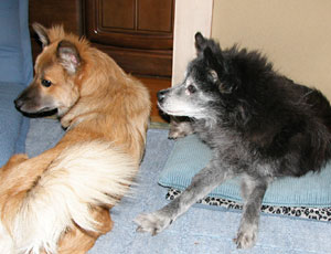 �f�m��ʂӂ�����Ă݂�